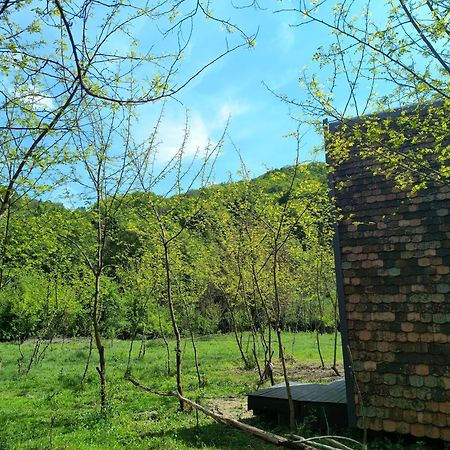 Retreat In Padure Hotel Buchin Ngoại thất bức ảnh